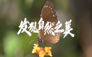 河南婵润生物科技有限公司企业宣传片